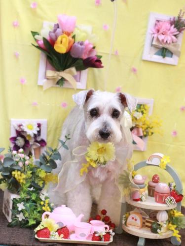 20230318ボルトくん